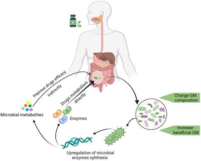 Exploring the role of gut microbiota in advancing personalized medicine